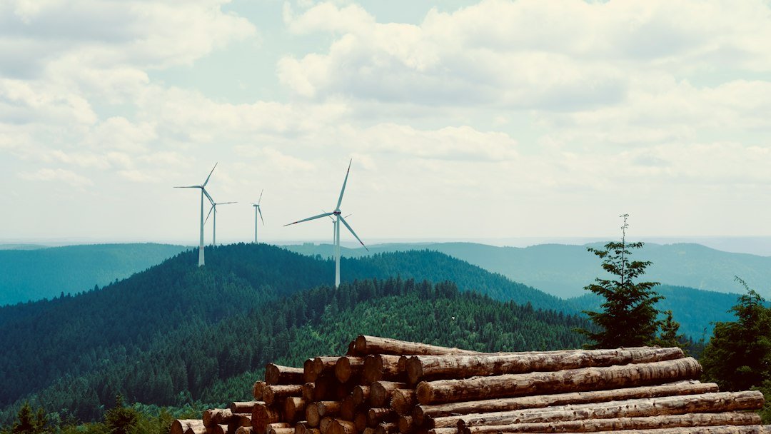 Illustrative forest scene, not a photograph of the Google Muhos data center construction site
