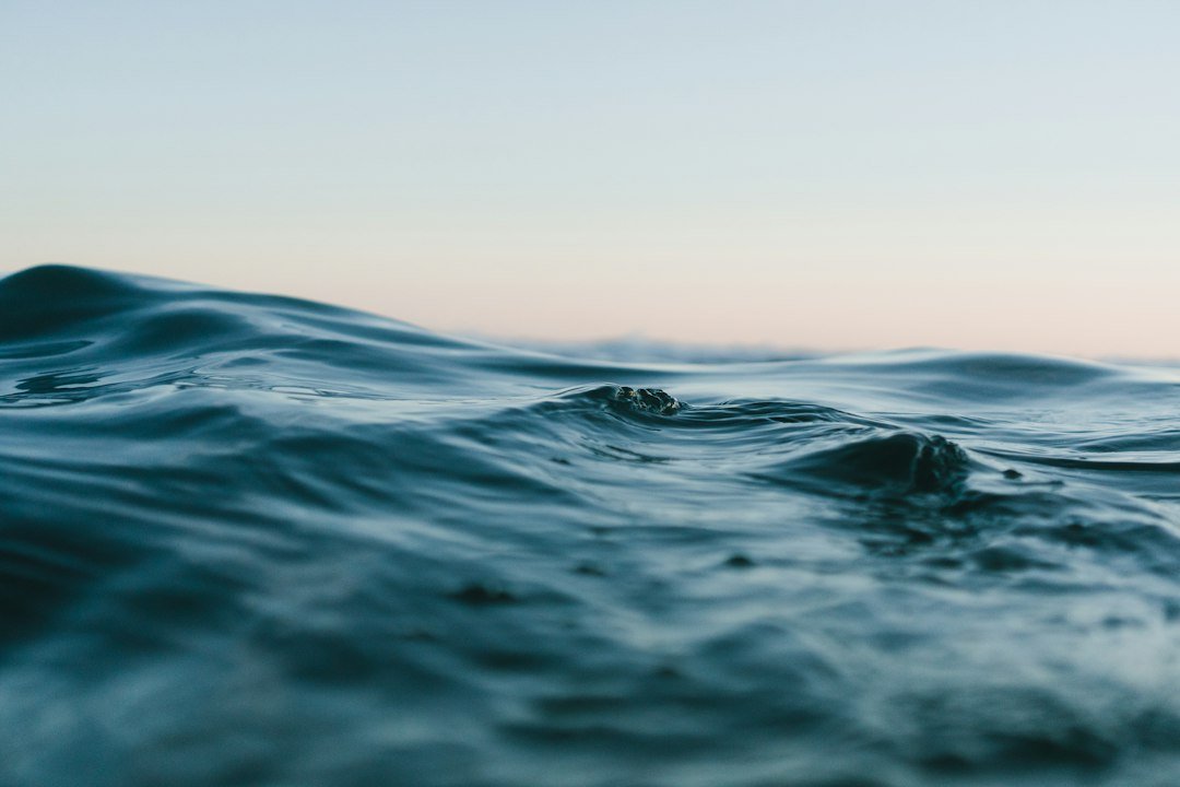 Ocean waves, used as an illustrative photograph; not evidence of a Gulf sea snake.