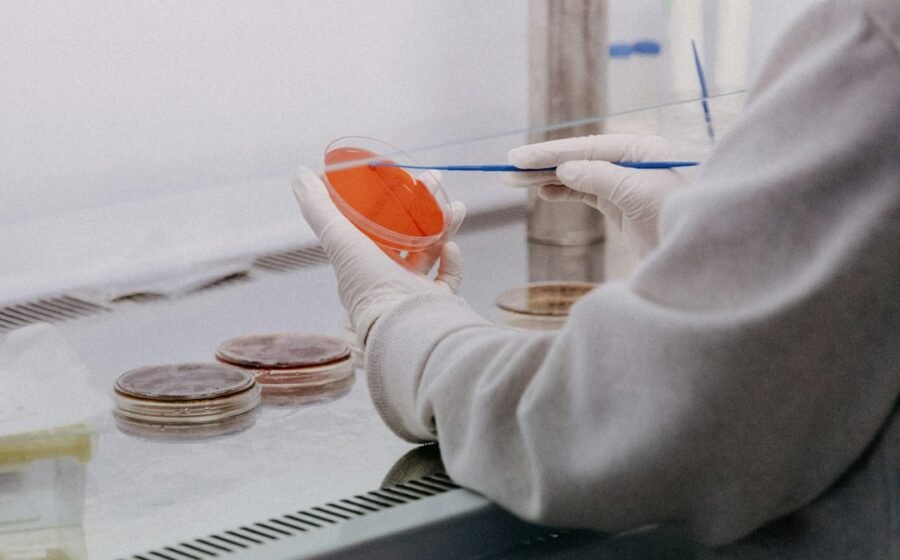 Illustrative life sciences laboratory, not the actual human brain organoid experiments
