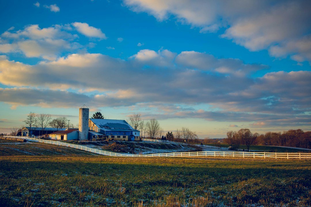 Farmland landscape illustration